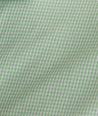 Wrinkle-Free Kelly Shirt