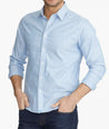 Model wearing a Blue Wrinkle-Free Blakeslee Shirt