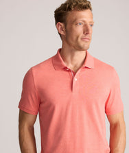 Wrinkle-Free Damaschino Polo Zoom